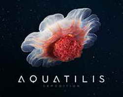 Страшная, как моя жизнь  Сеть ужаснул катафалк по-ВАЗовски в лице LADA Марина