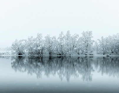 Как узнать, какая порода у кота с помощью iPhone