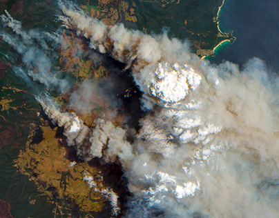 Всего за 1 ночь в августе огурцов нарастает больше, чем в июне. Простой и легкий приём для долгого плодоношения