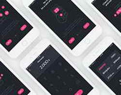 Создан первый USB-ключ для приложений на iPhone