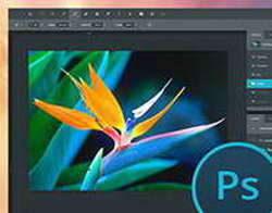 Apple Vision Pro 2 может получить чип M5 вместо M4