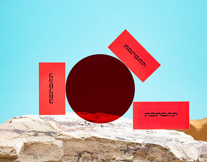 Shein ввел мировой запрет на продажу секс-кукол после требования Франции